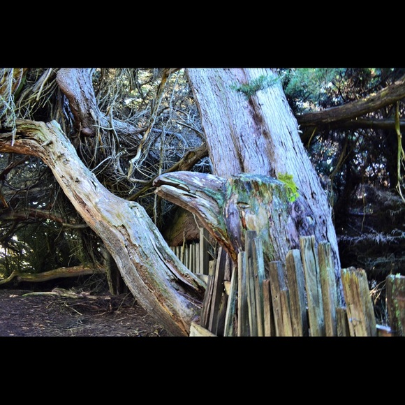 Meet your Posher, Beth - Picture 2 of 3